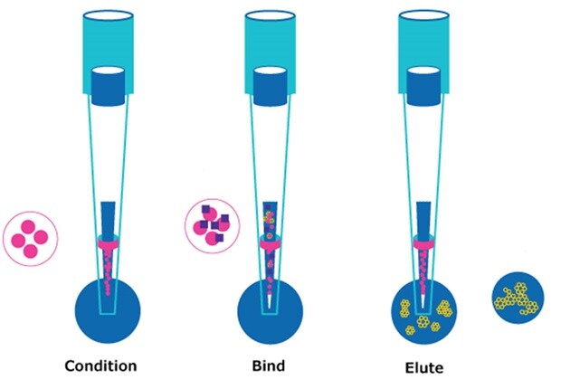 Three-step schematic showing DPX-based HybridSPE: conditioning the tip, binding phospholipids to the sorbent, and eluting cleaned analytes from the extraction tip.